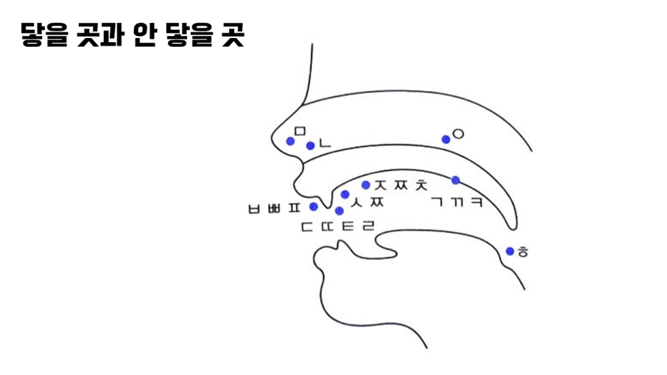 포인터스 이미지