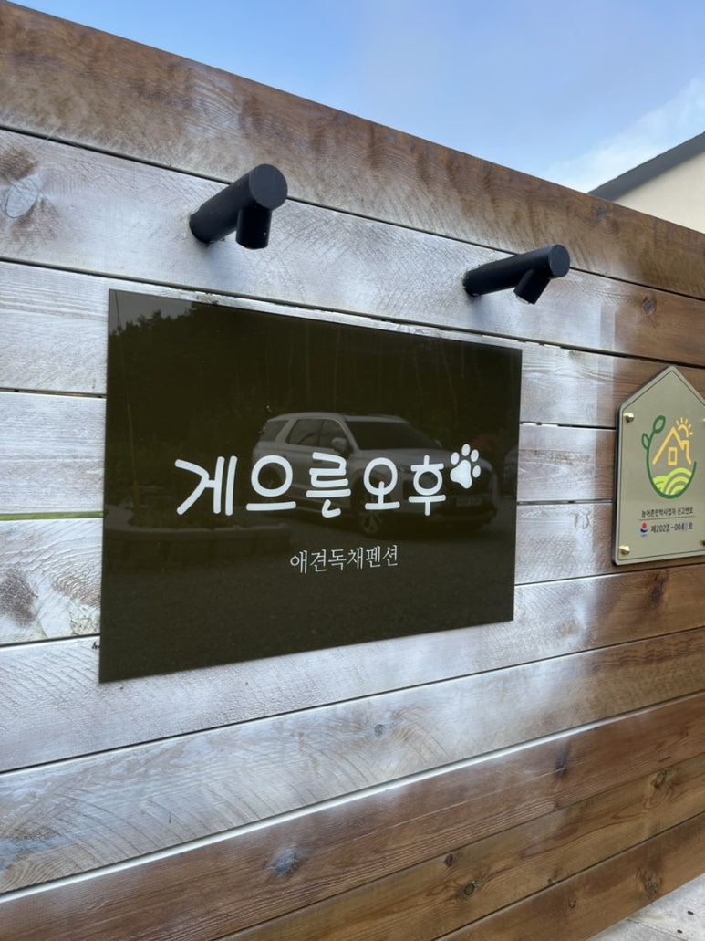 게으른오후 이미지