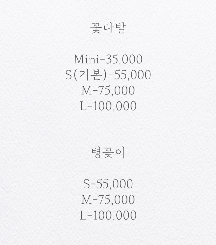 아우첼라플라워 이미지