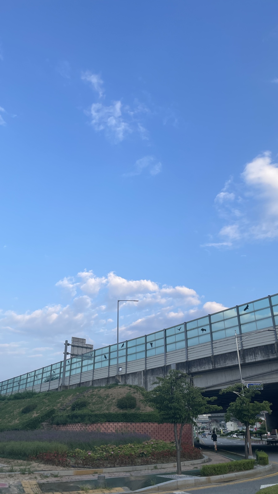 교동찜닭부산 이미지