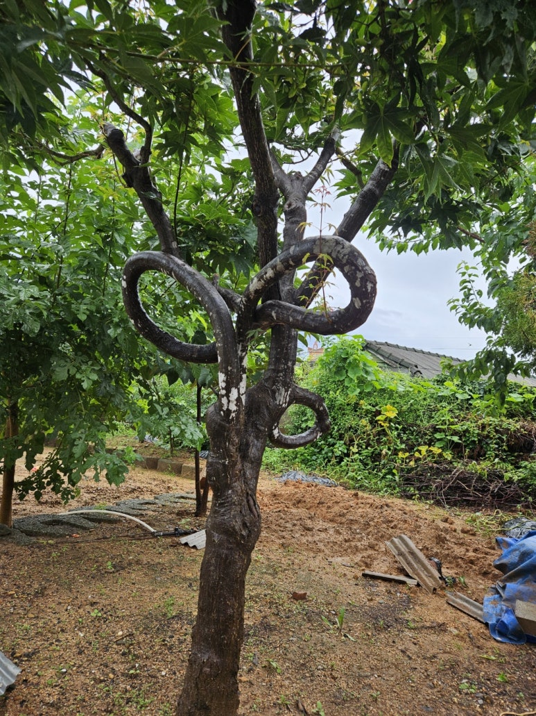 (주)산수 이미지