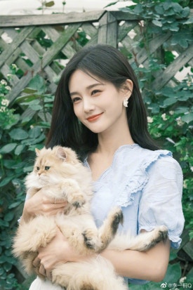 아오바이 이미지