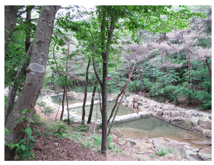 솔바람 야영장 이미지