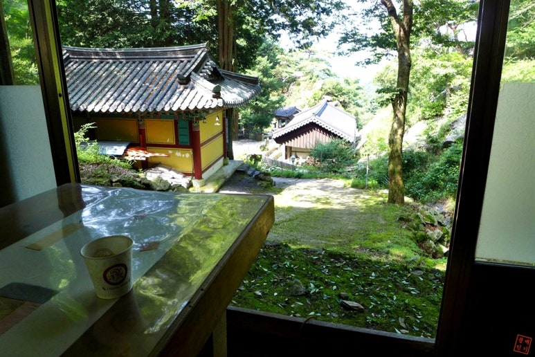 성수산 왕의숲 자연휴양림 이미지