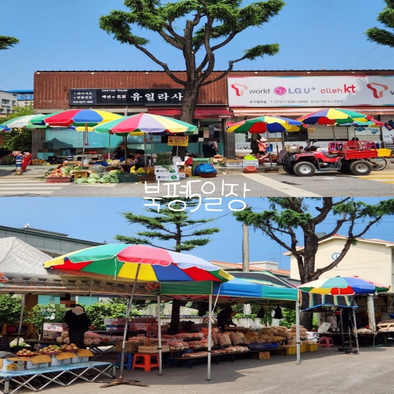 동해먹거리장터 이미지