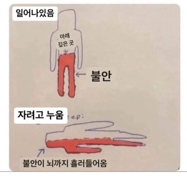 사라애드 이미지