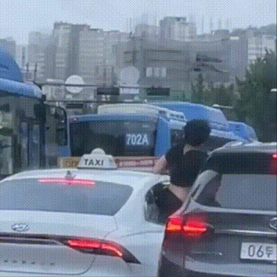대상드림벨트 이미지