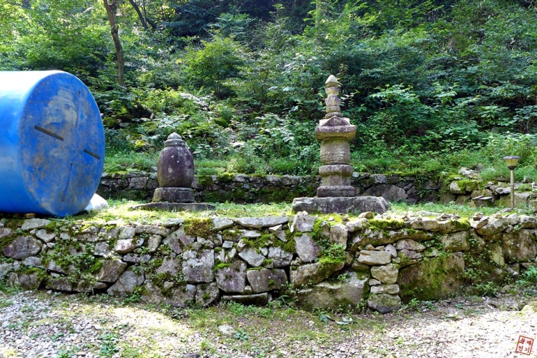 성수산 왕의숲 자연휴양림 이미지