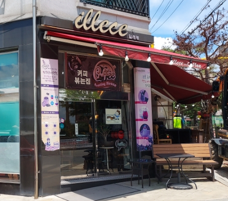 일레체 이미지