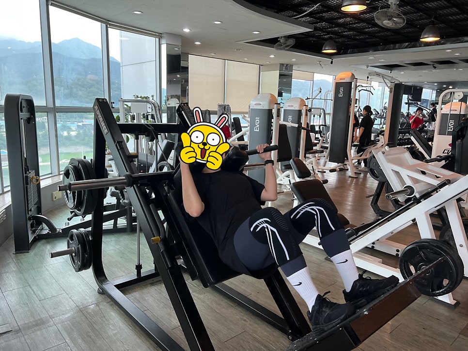 근모닝피티 이미지