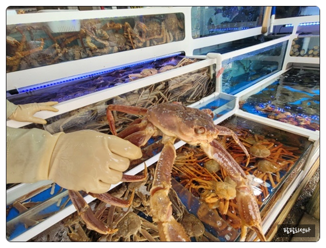 (주)여행센타 이미지