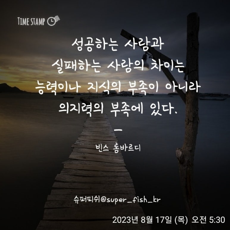 빈스피쉬 이미지
