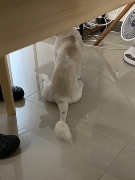 이츠루카 이미지