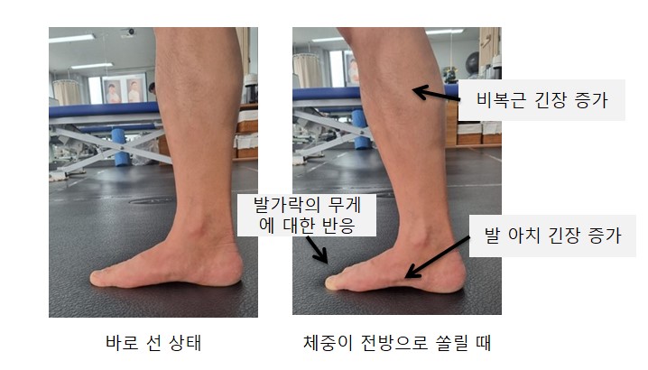 기능동작아카데미 이미지