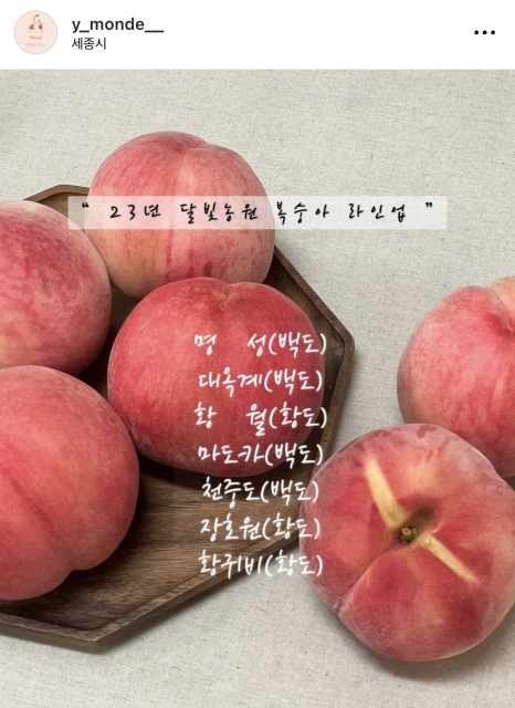 달빛농원 이미지