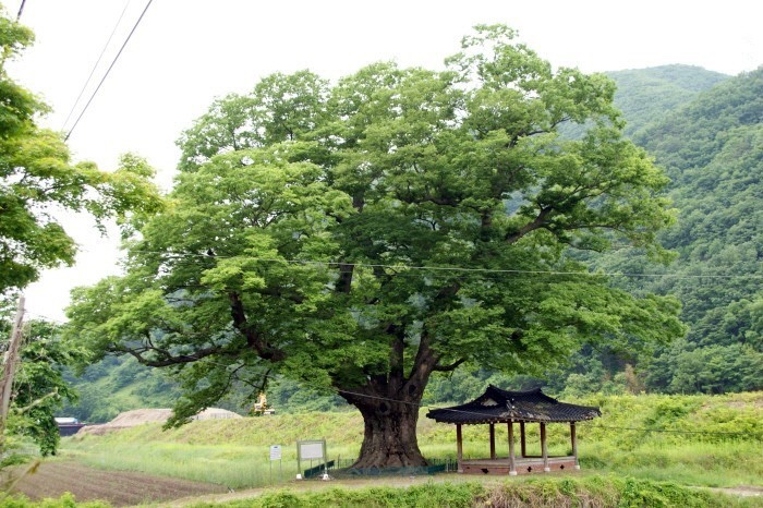 폼테라피 이미지