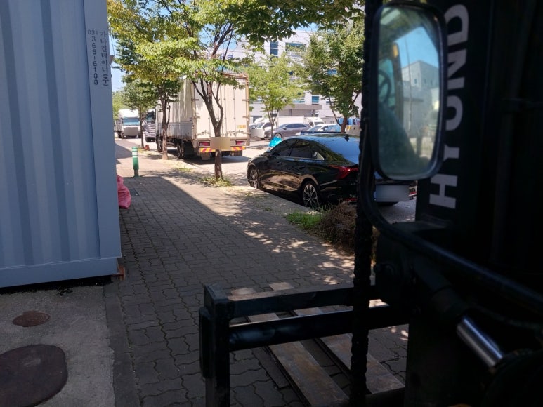 금란이용 이미지