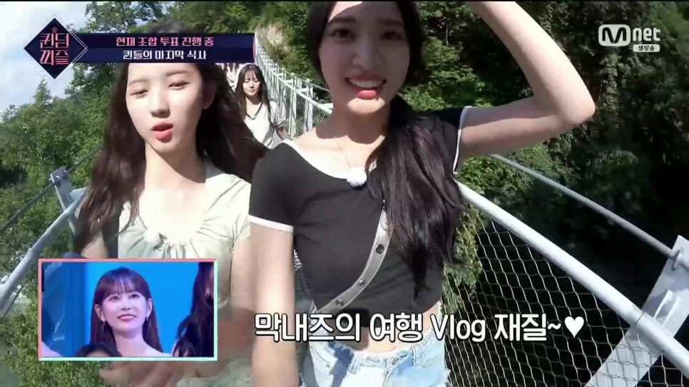 회조아 이미지