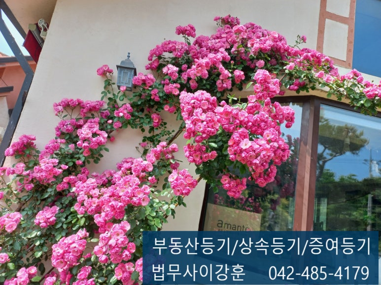 법무사이강훈사무소 이미지