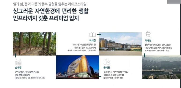 아산용연초등학교 이미지