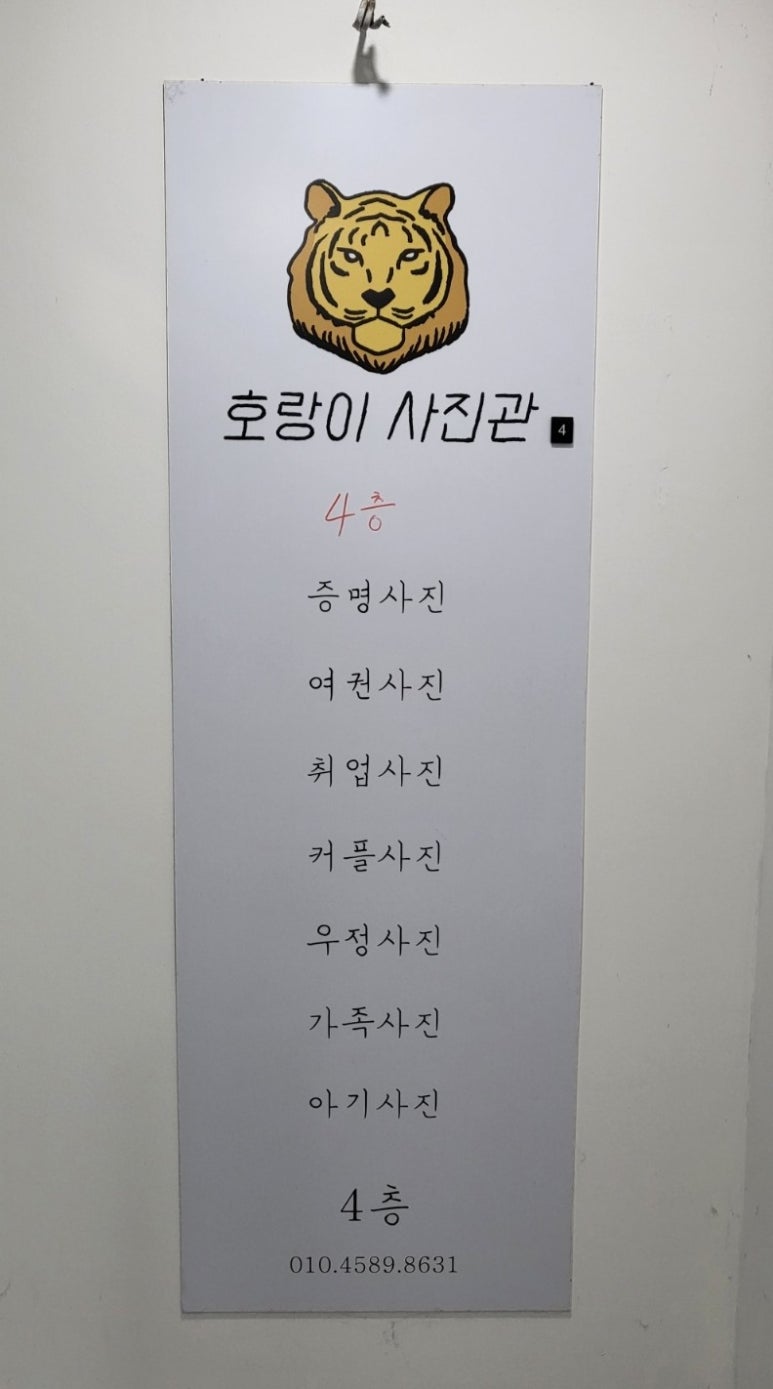 호랑이사진관 이미지