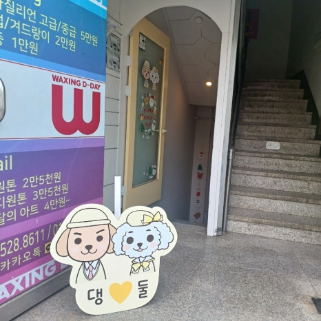 댕둘 이미지