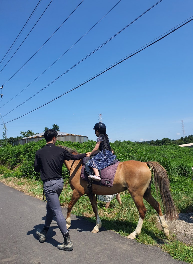 홀스홀릭포니클럽 이미지