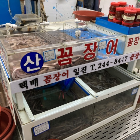 일진상회 이미지
