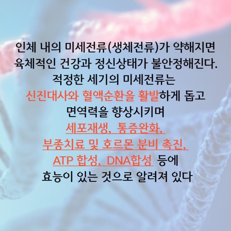 리웨이브 이미지