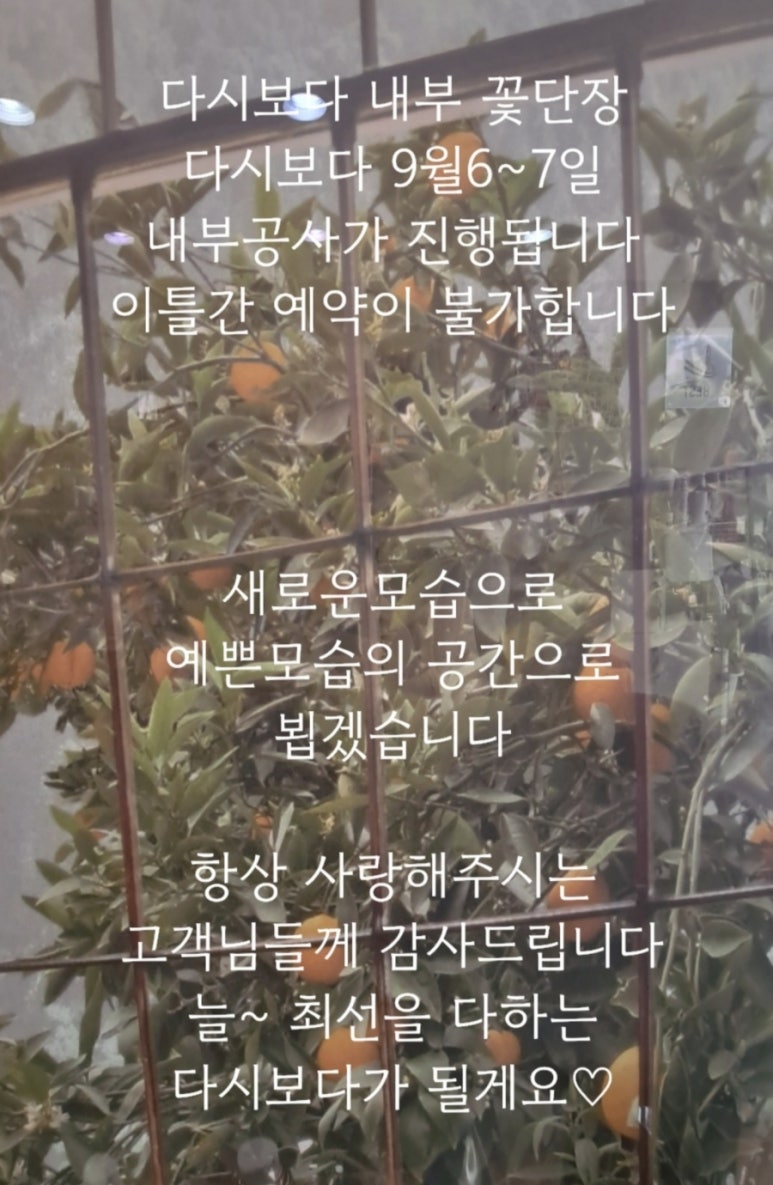 다시보다헤어살롱 이미지