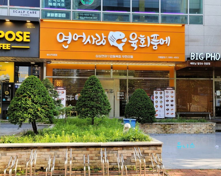 연어사랑육회품에 이미지