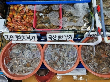 대신수산 이미지