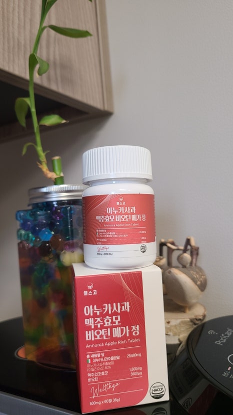 메가웰스 이미지