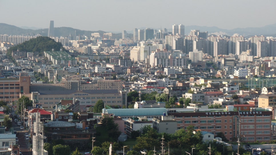 정림골흑염소 이미지
