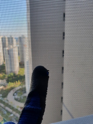 안심에스엘 이미지