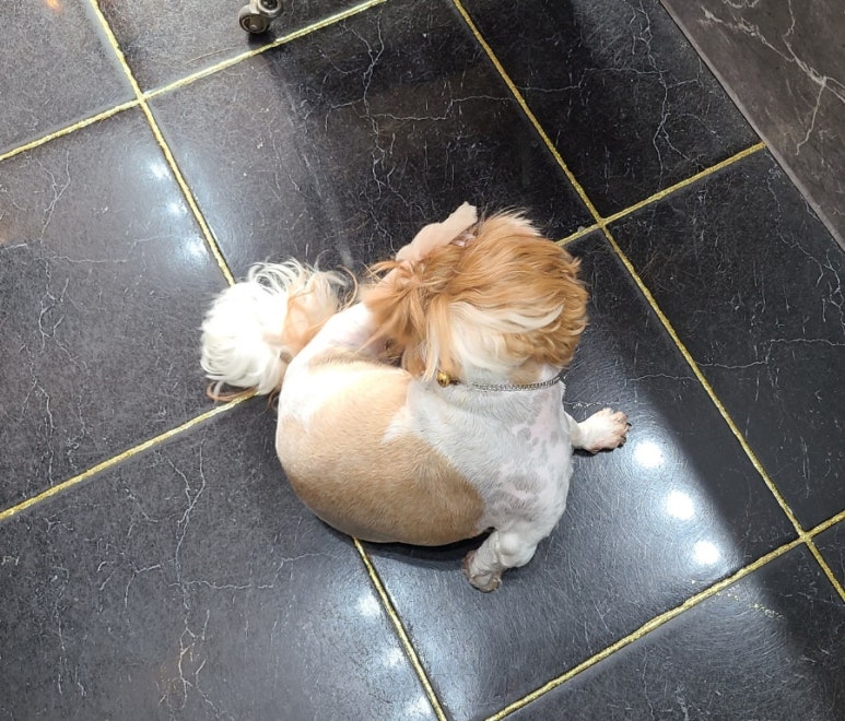 하이뷰티헤어살롱 이미지