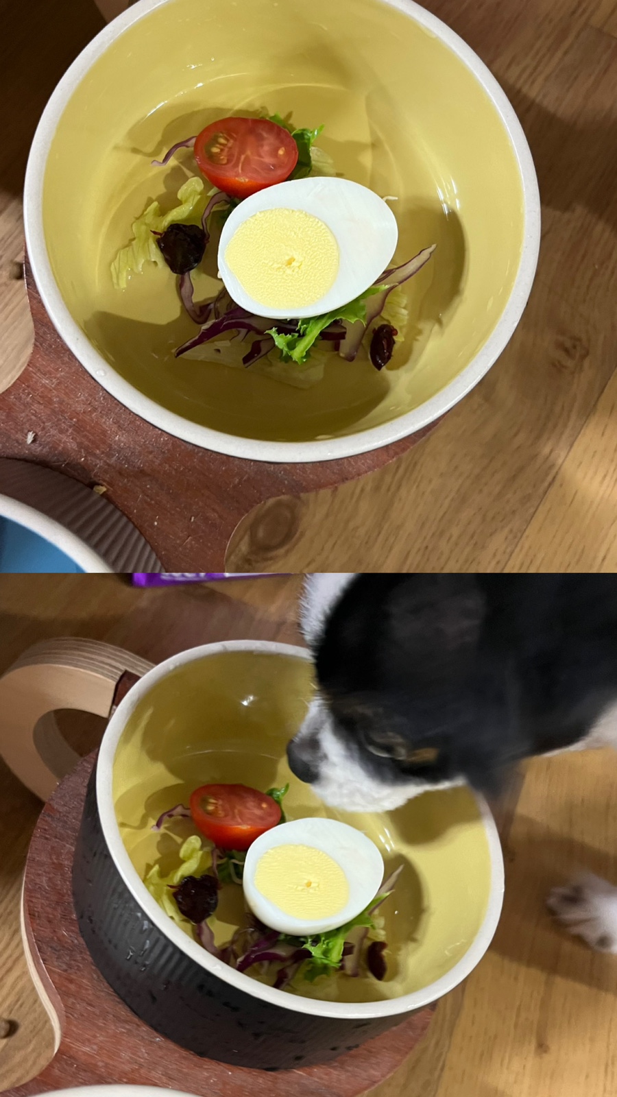 샐럽부부 이미지