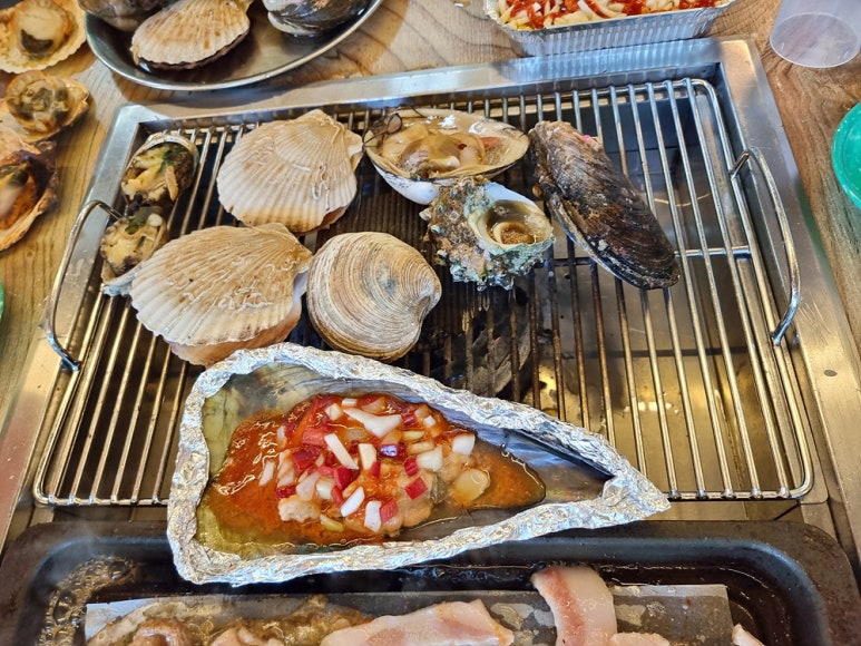 바다나무 이미지