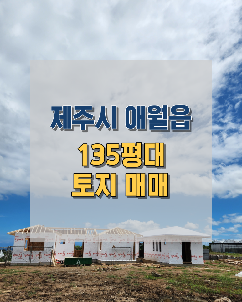 에이치앤엘 이미지