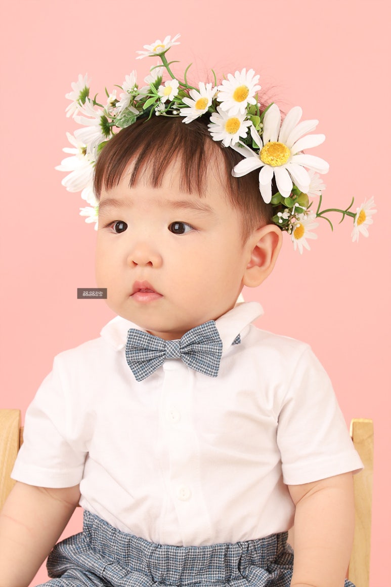 로이레스튜디오 이미지