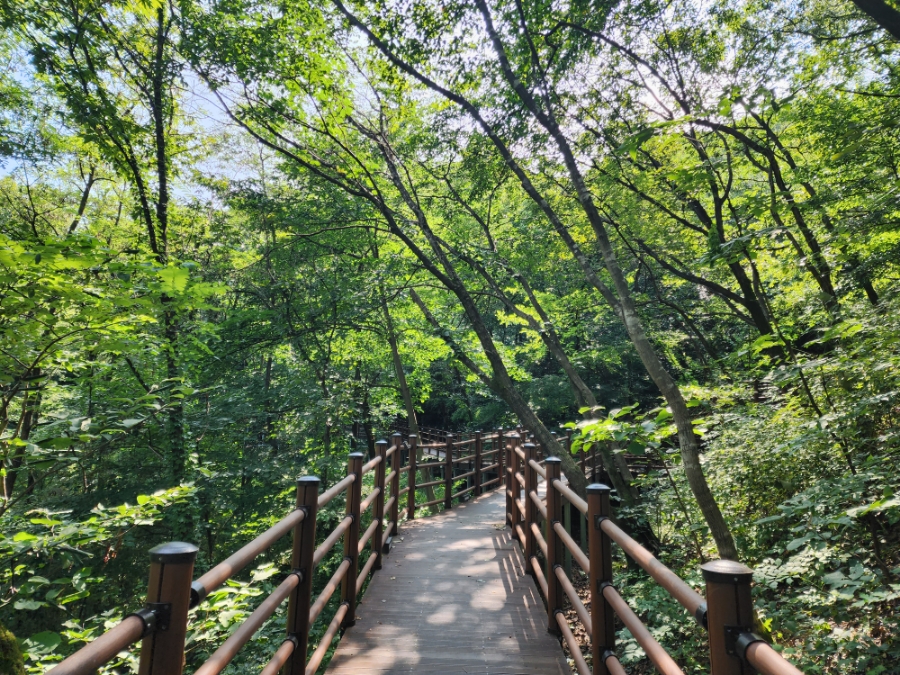 보개산 야영장 이미지