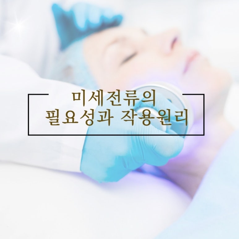 리웨이브 이미지