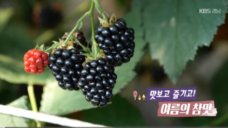 참맛농부 이미지