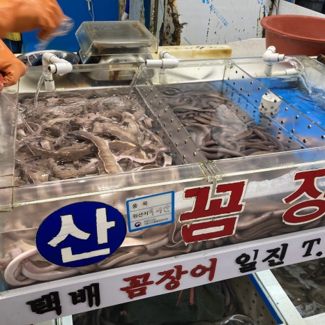일진상회 이미지
