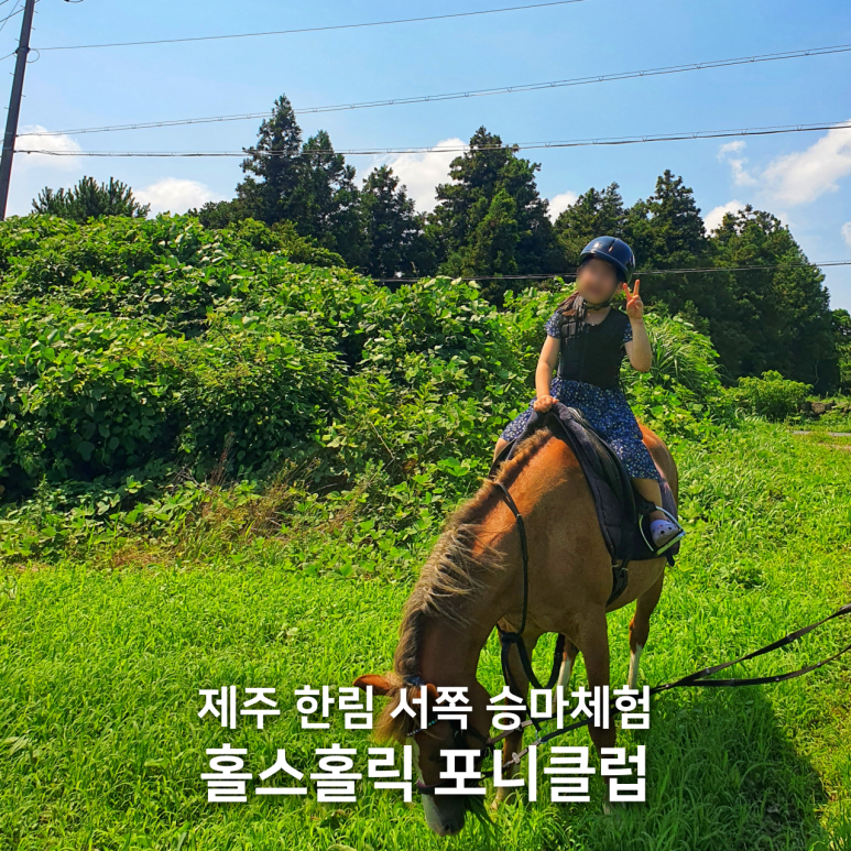 홀스홀릭포니클럽 이미지