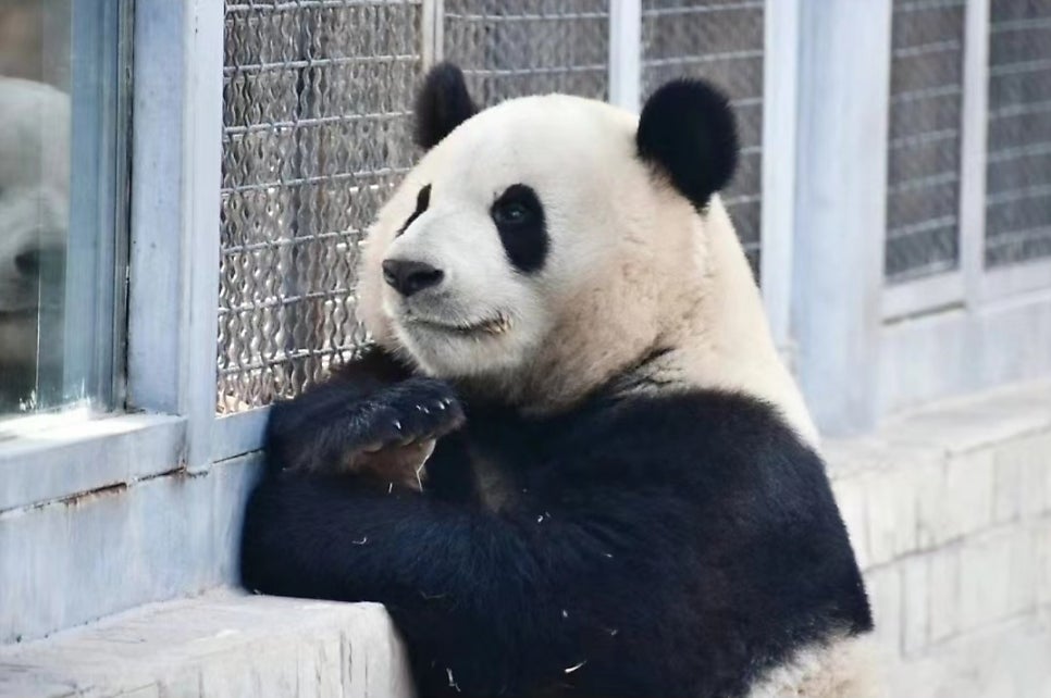 화화 이미지