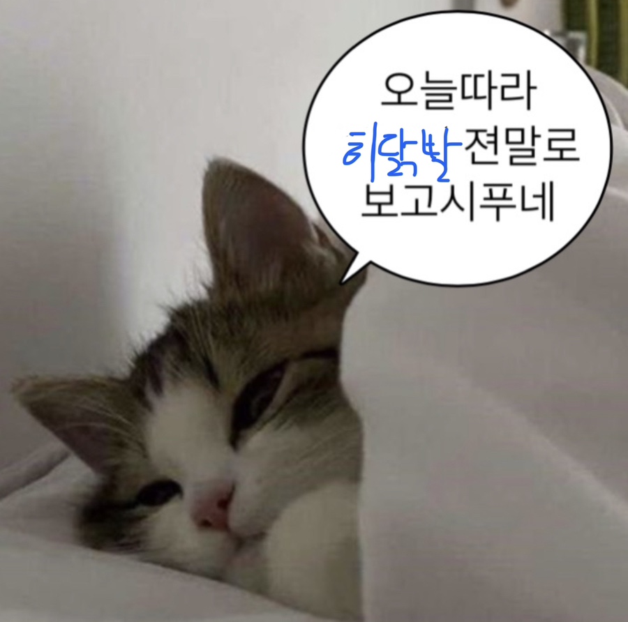 히닭발 이미지