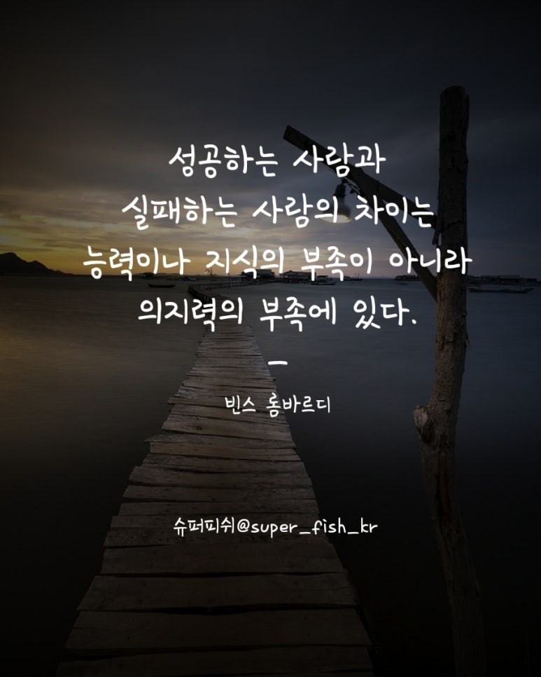 빈스피쉬 이미지