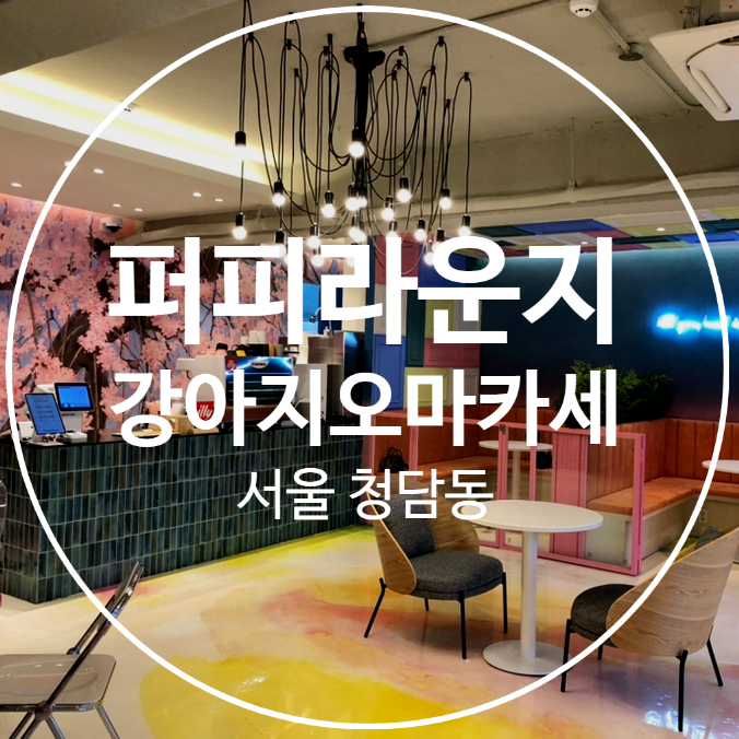 퍼피라운지 이미지