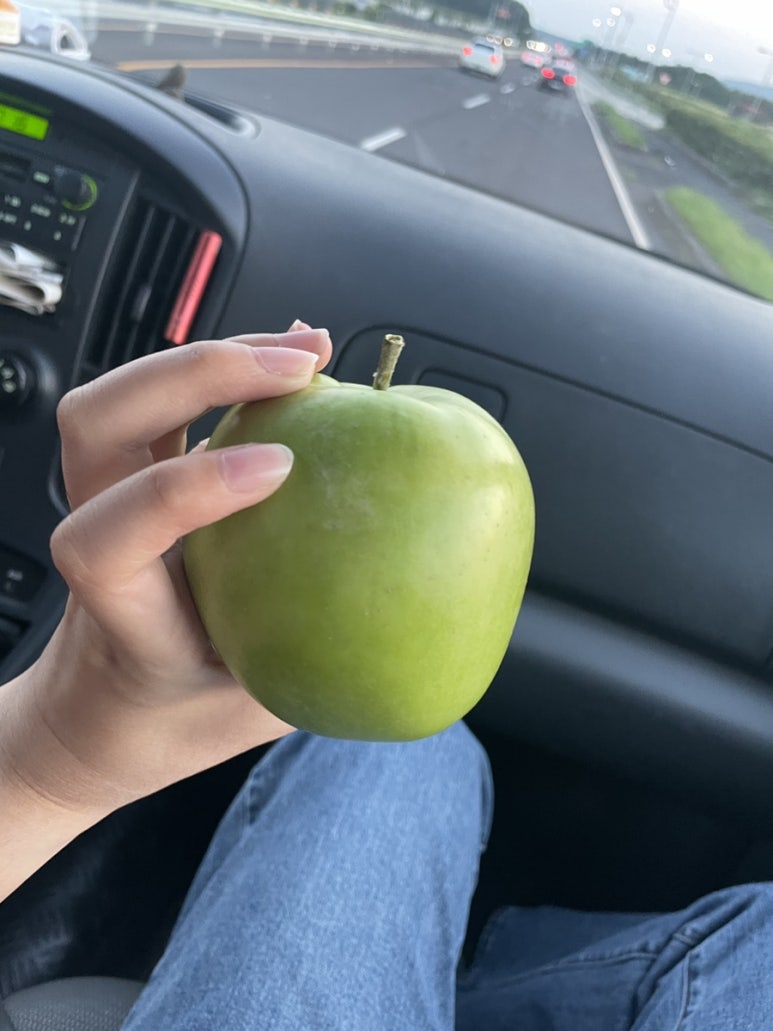 일조바다장어 이미지